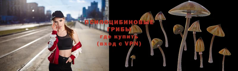 Галлюциногенные грибы MAGIC MUSHROOMS  как найти   Остров 